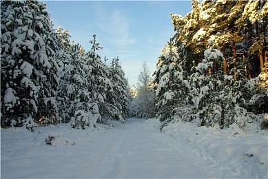 虚假《我的世界》模组致1500余名玩家中招 密码与钱包数据遭窃